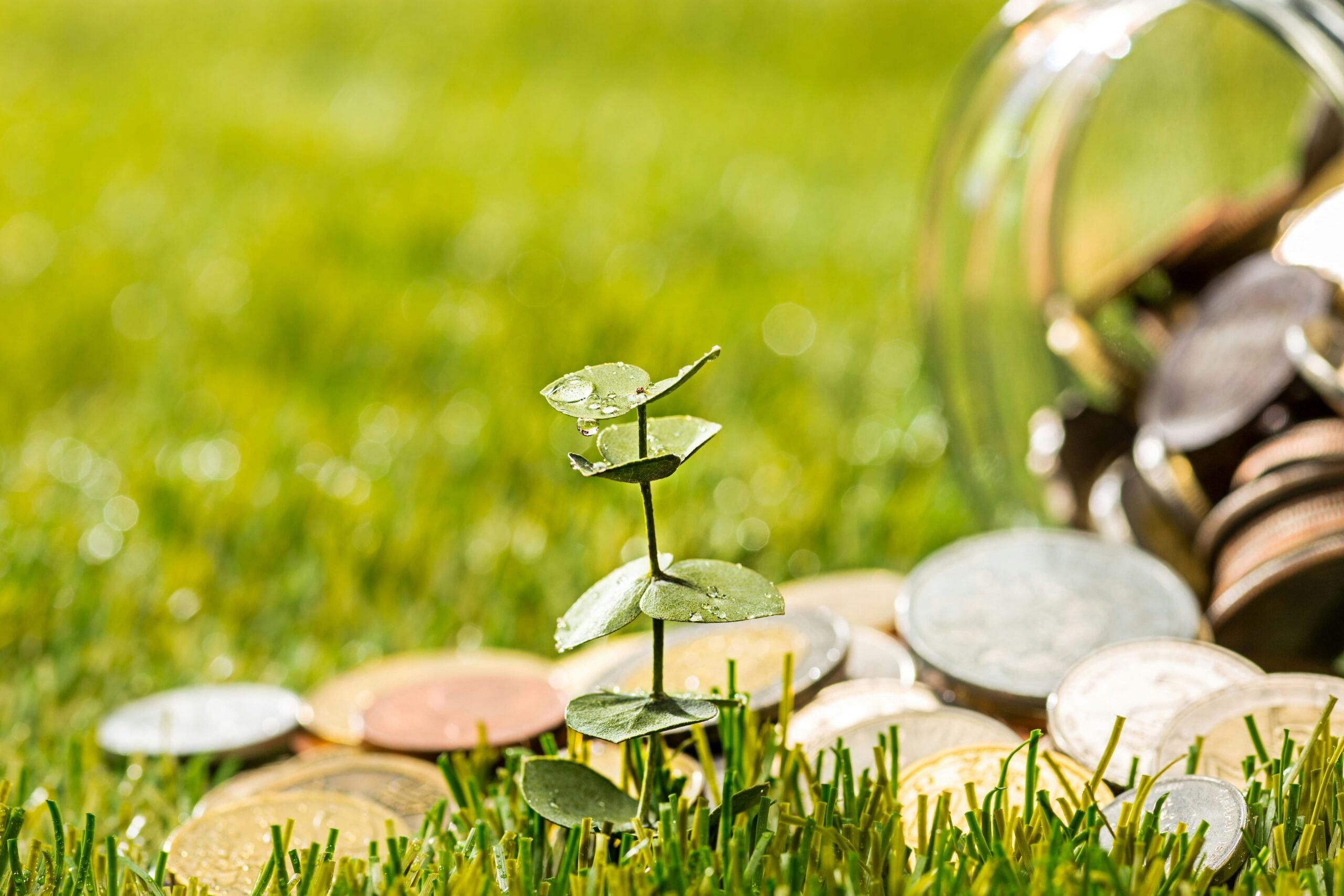 Sustentabilidade Financeira E Empréstimos Sem Garantia — Como Alcançar o Equilíbrio?